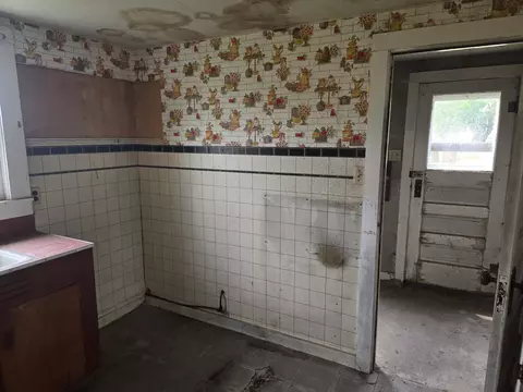 101 Vine St, Ludlow, IL 60949 photo 4