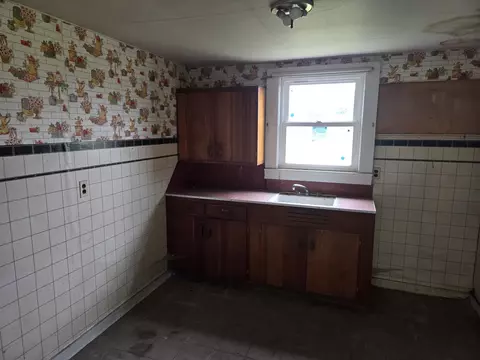 101 Vine St, Ludlow, IL 60949 photo 3