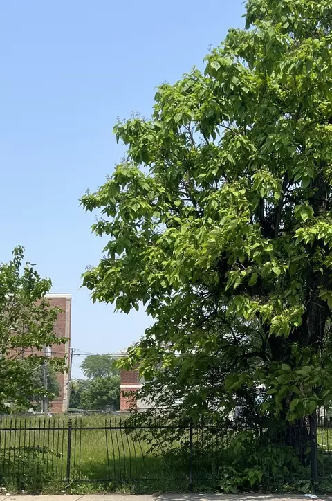 3334 W Warren Blvd, Chicago, IL 60624