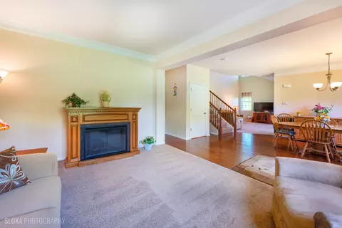 Living - 1110 Pine Valley Ct, Elgin, IL 60124 photo 2 of 3