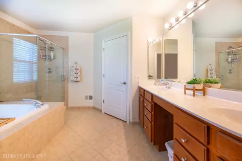 Bath - 1110 Pine Valley Ct, Elgin, IL 60124 photo 2 of 3