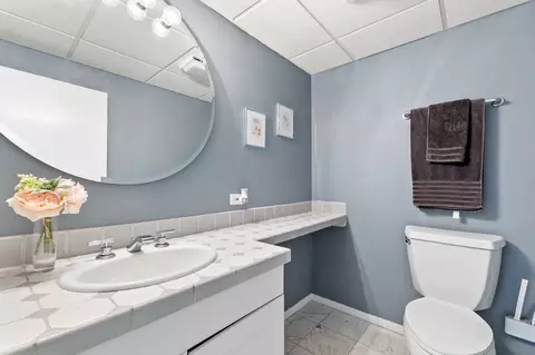 Bath - 1580 Webster Ln, Des Plaines, IL 60018 photo 6 of 6