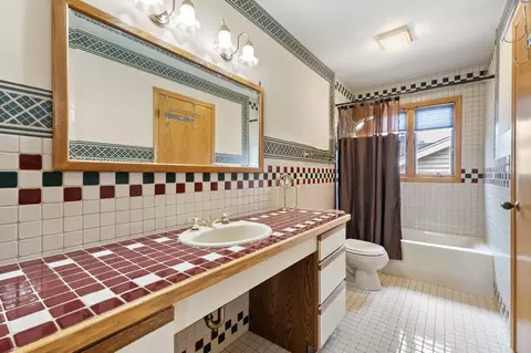 Bath - 1580 Webster Ln, Des Plaines, IL 60018 photo 3 of 6