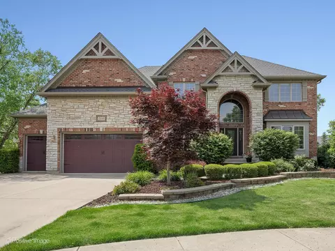 508 Gene Darfler Ct, Naperville, IL 60565