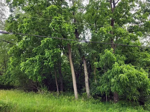 lot1573 Lake Wildwood Dr, Varna, IL 61375