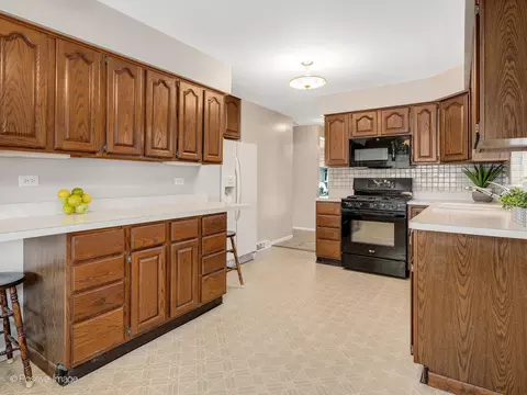 4220 Maple Ave, Brookfield, IL 60513 photo 7