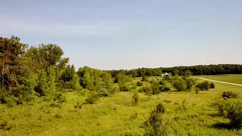 19466 Bauer Rd, Custer Park, IL 60481