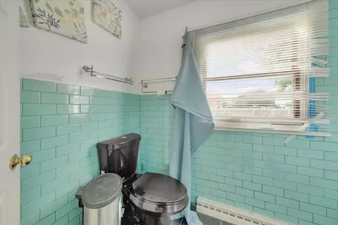 Bath - 302 S Leney St, Ogden, IL 61859 photo 1 of 2