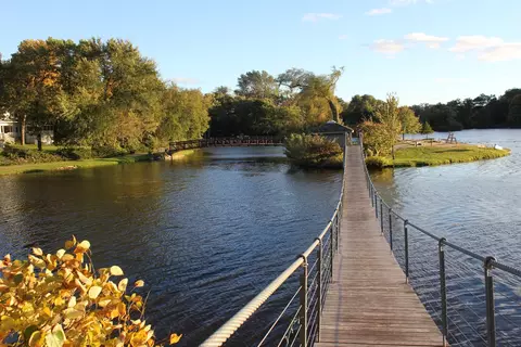 406 E Tower Dr, Tower Lakes, IL 60010 photo 21