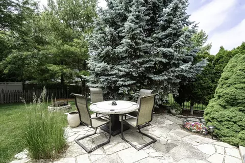 24309 White Oak Dr, Plainfield, IL 60585 photo 24