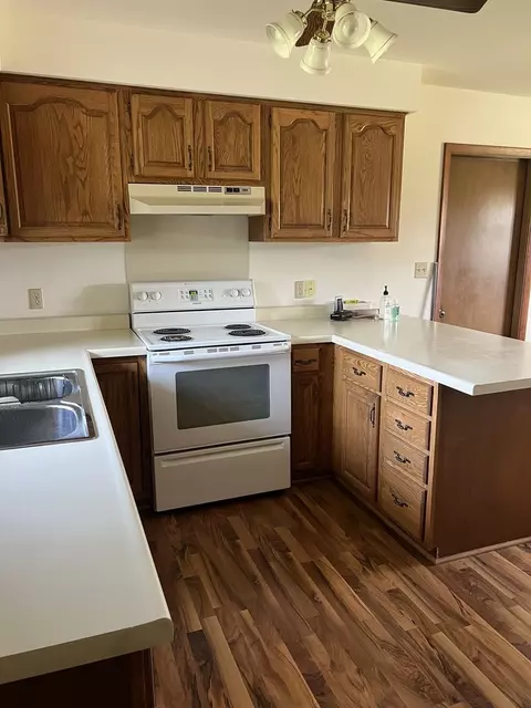 Kitchen - 217 E Townline Rd, Lena, IL 61048 photo 3 of 4