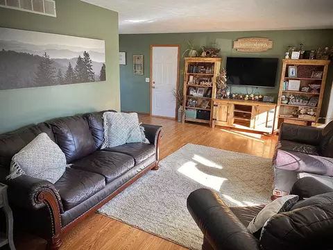 Living - 606 Briarwood Dr, Danvers, IL 61732 photo 1 of 2
