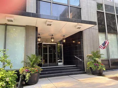 253 E Delaware Pl #8F, Chicago, IL 60611