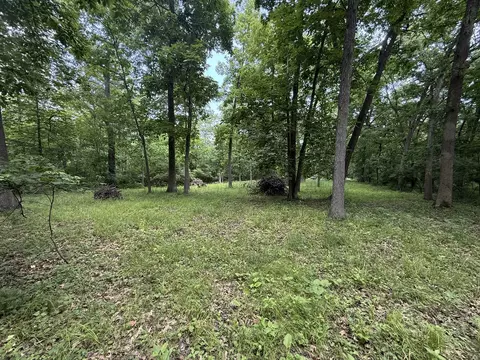 lot235 Lake Thunderbird Dr, Tiskilwa, IL 61368