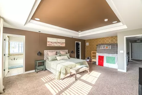 14924 S Case St, Plainfield, IL 60544 photo 20