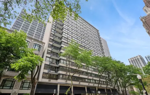 33 E Cedar St #8G, Chicago, IL 60611