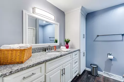 Bath - 20131 E Brightway Dr, Mokena, IL 60448 photo 3 of 3