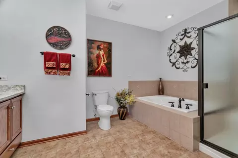 11186 188th Pl, Mokena, IL 60448 photo 18