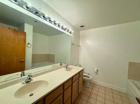 Bath - 41 E 8th St #1702, Chicago, IL 60605 photo 1 of 3