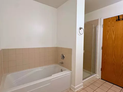 Bath - 41 E 8th St #1702, Chicago, IL 60605 photo 2 of 3