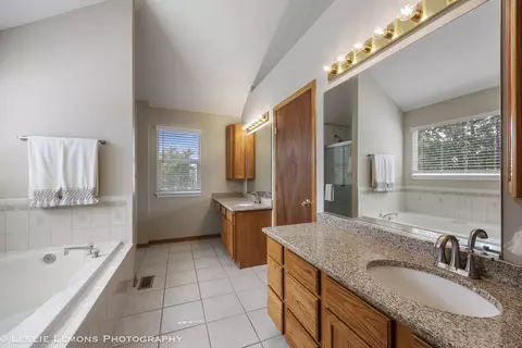 13141 Cinnamon Cir, Plainfield, IL 60585 photo 23