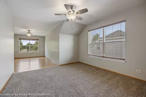 13141 Cinnamon Cir, Plainfield, IL 60585 photo 25