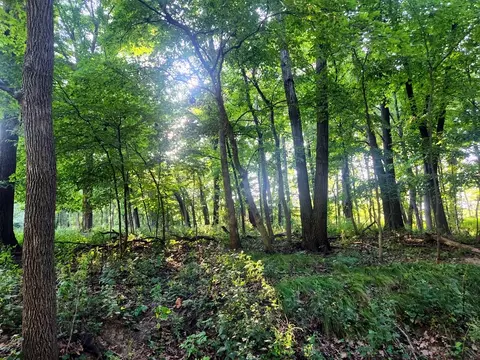 lot742 Brookside Dr, Varna, IL 61375