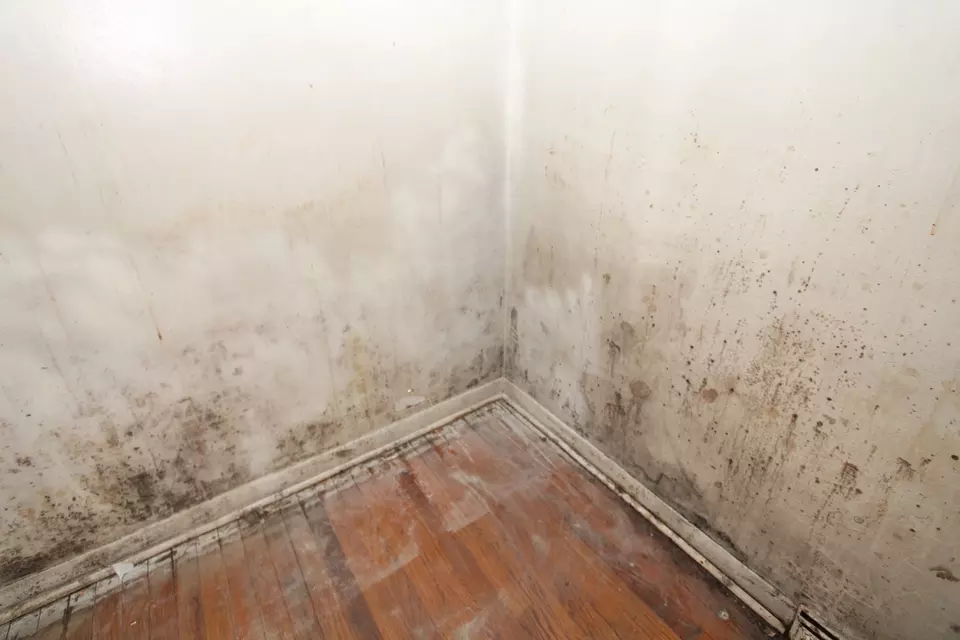 Other - 39 Warren St, Calumet City, IL 60409 photo 6 of 14