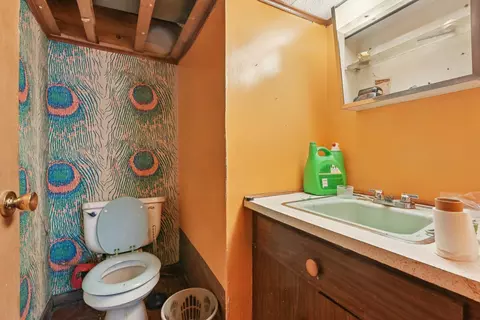 Bath - 626 E 90th St, Chicago, IL 60619 photo 5 of 5