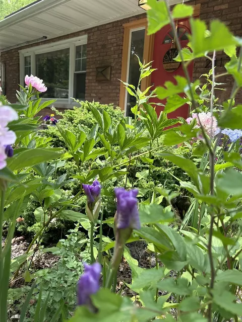 2417 Lyons St, Evanston, IL 60201 photo 32