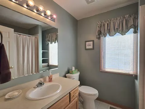 Bath - 3204 Apache Dr, New Lenox, IL 60451 photo 4 of 5