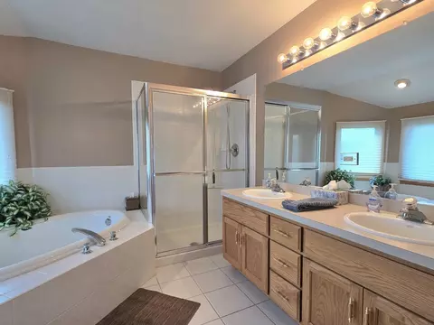 Bath - 3204 Apache Dr, New Lenox, IL 60451 photo 2 of 5