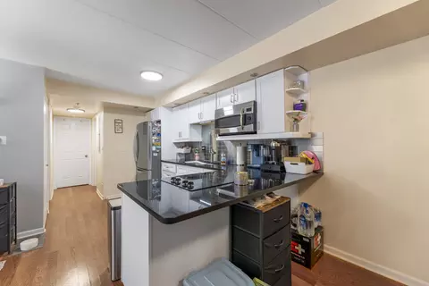 7335 Oakwood Ave #2E, Lyons, IL 60534 photo 9