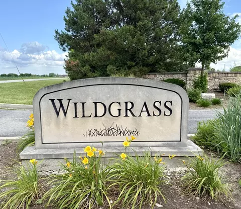 26329 S Wildgrass, Monee, IL 60449 photo 1