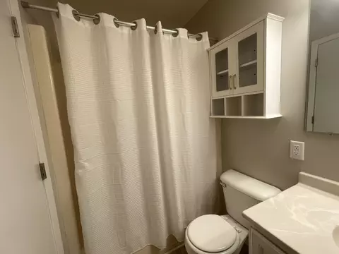 Bath - 522 N 3rd Ave, Chenoa, IL 61726 photo 3 of 4