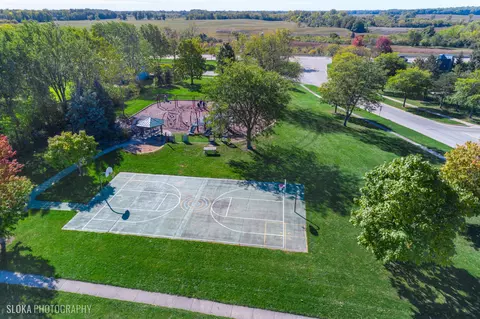 View/Area - 905 Harrison Ln, Hoffman Estates, IL 60192 photo 4 of 6