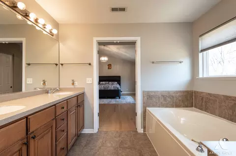 Bath - 1007 Biltmore Dr, Elgin, IL 60120 photo 4 of 6
