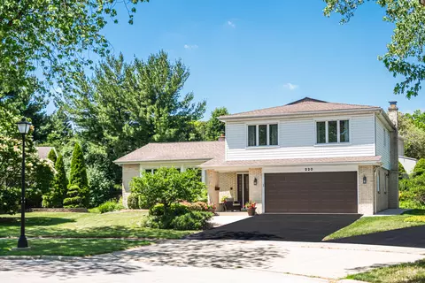 Exterior - 220 N Haddon Pl, Addison, IL 60101 photo 14 of 14