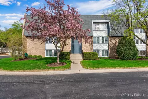 2109 Ammer Ridge Ct #201, Glenview, IL 60025