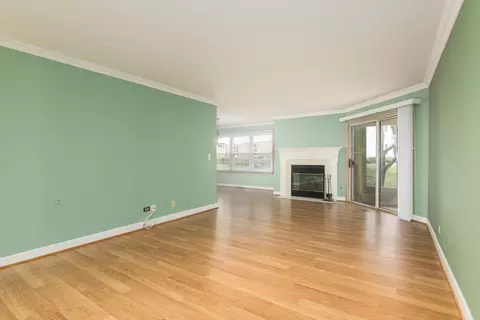 910 Persimmon Ln #B, Mount Prospect, IL 60056 photo 6