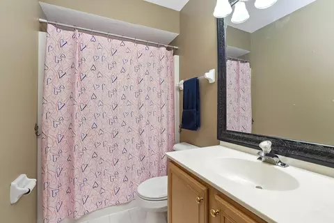 Bath - 24929 Vermette Rd, Plainfield, IL 60585 photo 3 of 3