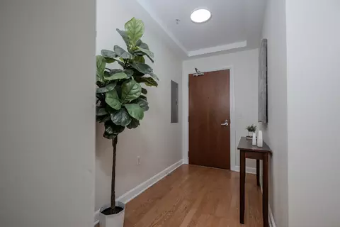 233 E 13th St #2001, Chicago, IL 60605 photo 5