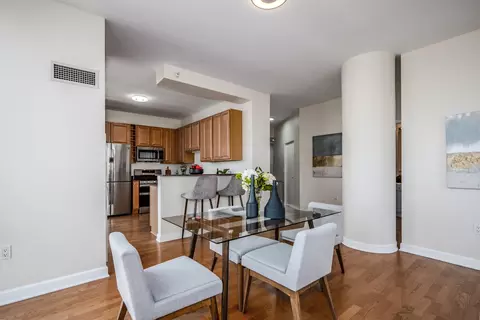233 E 13th St #2001, Chicago, IL 60605 photo 11
