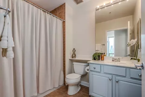 233 E 13th St #2001, Chicago, IL 60605 photo 29