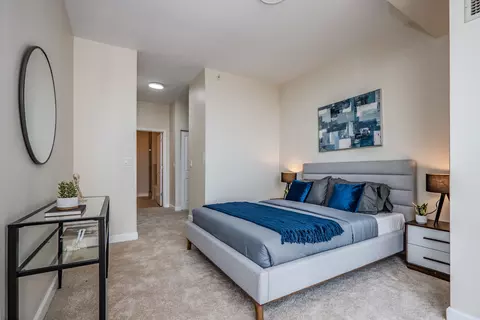 233 E 13th St #2001, Chicago, IL 60605 photo 21