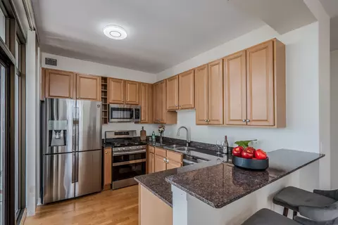 233 E 13th St #2001, Chicago, IL 60605 photo 13