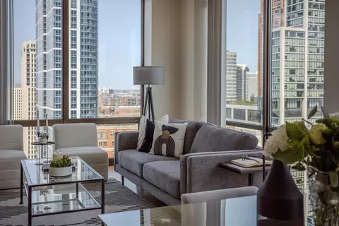 233 E 13th St #2001, Chicago, IL 60605 photo 9