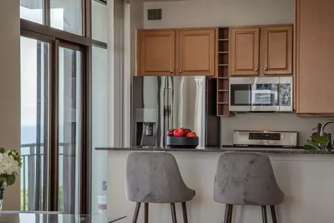 233 E 13th St #2001, Chicago, IL 60605 photo 16