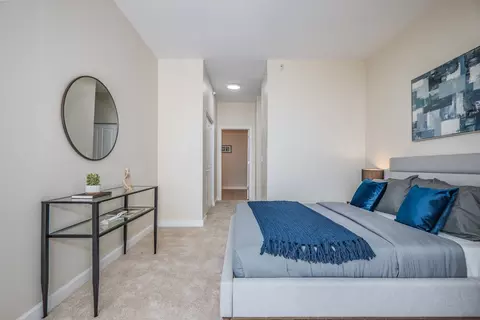 233 E 13th St #2001, Chicago, IL 60605 photo 25