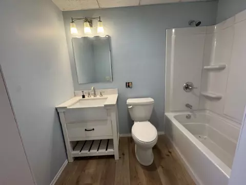 Bath - 309 W Owsley St, Chenoa, IL 61726 photo 3 of 4